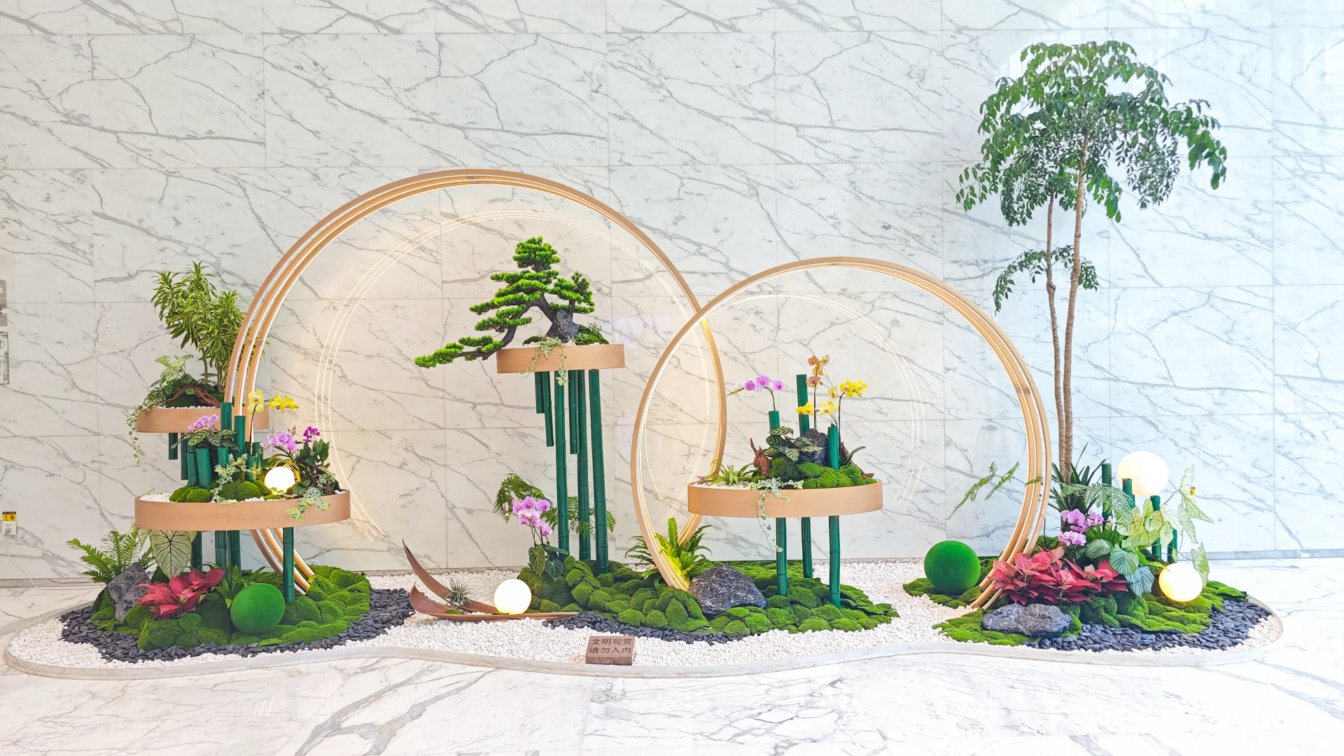 专业盆景出租,为宁波海曙添绿韵